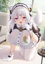 Rule 34 | 1girl, all fours, animal ears, apron, bell, blue eyes, blush, book, breasts, fang, gloves, hair bell, hair between eyes, hair ornament, heterochromia, indie virtual youtuber, indoors, large breasts, long hair, looking at viewer, maid, maid apron, maid headdress, multicolored hair, open mouth, red eyes, satomi (745684552), skin fang, solo, streaked hair, tail, thighhighs, virtual youtuber, white gloves, white hair, white thighhighs