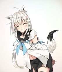 Rule 34 | 1girl, ahoge, animal ears, belt, belt buckle, black shorts, black thighhighs, blush, braid, breasts, buckle, closed eyes, commentary request, cowboy shot, detached sleeves, earrings, facing viewer, flower, fox ears, fox tail, gradient background, grin, hair flower, hair ornament, highres, hololive, jewelry, leaning forward, long hair, medium breasts, midriff peek, navel, noronosuke, ribbon-trimmed sleeves, ribbon trim, shirakami fubuki, shirakami fubuki (1st costume), shirt, shorts, side braid, single earring, smile, solo, standing, tail, thighhighs, virtual youtuber, white hair