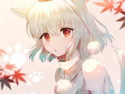 Rule 34 | animal ear fluff, animal ears, autumn leaves, blush, detached sleeves, hat, highres, inubashiri momiji, leaf, paw print, pom pom (clothes), red eyes, red hat, rin (rin7kan7), short hair, sweater, sweater vest, tail, tokin hat, touhou, turtleneck, white fur, white hair, white sweater, white sweater vest, wolf ears, wolf girl, wolf paws, wolf tail