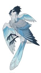 animal_focus artist_name beak bird_tail bird_wings blue_eyes dated feathered_wings from_side full_body hand_up highres monster multiple_wings no_humans original shuini_xiaomao simple_background solo tail talons white_background wings