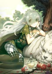 Rule 34 | 1girl, animal, apple, black eyes, bracelet, closed mouth, fang, food, forest, fruit, green eyes, highres, jewelry, long hair, lying, nature, necklace, on side, original, outdoors, petals, pointy ears, potion, sdr1989, smile, sparkle, tree, white hair