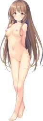 Rule 34 | 1girl, absurdres, arms behind back, barefoot, blush, breasts, brown hair, completely nude, feet, female focus, full body, hibikino-san-chi wa eroge-ya-san!, hibikino tsumugi, highres, long hair, looking at viewer, medium breasts, navel, nipples, no pussy, nude, official art, red eyes, smile, solo, toes, transparent background, very long hair