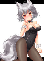 Rule 34 | 1girl, animal ears, black bow, black bowtie, black leotard, black pantyhose, bow, bowtie, breasts, cleavage, detached collar, inubashiri momiji, kei kei, leotard, looking at viewer, medium breasts, nontraditional playboy bunny, pantyhose, playboy bunny, red eyes, short hair, silver hair, simple background, solo, tail, touhou, white background, wolf ears, wolf tail, wrist cuffs
