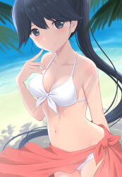 Rule 34 | 1girl, alternate costume, azuki-iro, beach, bikini, black eyes, black hair, breasts, collarbone, day, front-tie top, highres, houshou (kancolle), kantai collection, long hair, looking at viewer, medium breasts, navel, ocean, outdoors, palm leaf, red sarong, sarong, smile, solo, standing, swimsuit, very long hair, white bikini