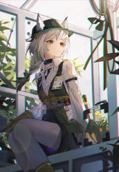 Rule 34 | 1girl, absurdres, animal ears, arknights, beanstalk (arknights), blouse, braid, chromatic aberration, collared shirt, ears through headwear, fedora, feet out of frame, flower, from below, gloves, greenhouse, hair ribbon, hat, highres, huge filesize, infection monitor (arknights), lens flare, looking to the side, nagito, name tag, orange eyes, plant, ribbon, ribbon braid, shirt, shorts, single braid, sitting, solo, striped clothes, striped shirt, white hair, white legwear, white shirt