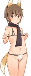 Rule 34 | 1girl, alternate breast size, animal ears, bikini, blush, brown eyes, brown hair, cowboy shot, flat chest, katou keiko, looking at viewer, micro bikini, navel, scarf, short hair, solo, strike witches, striped bikini, striped clothes, swimsuit, tail, taji (crowview), wavy mouth, witches of africa, world witches series