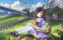 Rule 34 | 3girls, animal ears, blouse, blue flower, blue hair, blue headwear, blue rose, blue sky, blush, bow, bride, brown footwear, bug, building, cloud, cloudy sky, collarbone, commentary request, dandelion, drawing, dress, dutch angle, flower, gold ship (umamusume), grass, hair over one eye, hat, hat flower, high heels, highres, holding, holding pencil, horse ears, horse girl, horse tail, insect, jogging, ladybug, legs, legs together, light blue hair, light purple hair, looking up, mejiro mcqueen (umamusume), multiple girls, open mouth, outdoors, pencil, puffy short sleeves, puffy sleeves, purple bow, purple dress, purple eyes, purple legwear, purple shirt, rice shower (umamusume), rose, scenery, school uniform, segway, shirt, shoichi (ekakijin), short dress, short sleeves, sitting, sky, solo focus, stairs, tail, thighhighs, thighs, tilted headwear, tracen school uniform, track suit, umamusume, white thighhighs
