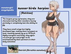 1girl a.c._hunter absurdres bare_shoulders bird bird_legs bird_tail black_shorts black_tank_top blue_background breasts brown_feathers brown_tail brown_wings character_profile commentary digitigrade english_commentary english_text feathered_wings feathers full_body grey_hair highres large_breasts looking_at_viewer midriff muscular muscular_female original ostrich reference_inset short_hair shorts solo sweat tail talons tank_top winged_arms wings