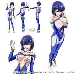 Rule 34 | 1girl, ass, blue hair, breasts, butt crack, character sheet, large breasts, lowres, reiko kanna, star jewel