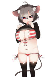 Rule 34 | 1girl, ahoge, animal ears, bad anatomy, blush, bra, breasts, cleavage, clothes lift, fang, grey hair, highres, large breasts, looking at viewer, lowleg, lowleg panties, mouse ears, mouse tail, navel, nazrin, nervous smile, open mouth, panties, red eyes, shirt lift, short hair, side-tie panties, smile, solo, tail, takimoto yukari, thighhighs, thighs, touhou, tsurime, underwear