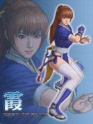 Rule 34 | 1girl, breasts, dead or alive, dy lee, highres, kasumi (doa), large breasts, long hair, pelvic curtain, ponytail, tecmo, thighhighs