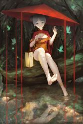 Rule 34 | 1girl, barefoot, breasts, bug, butterfly, cleavage, double bun, feet, hair bun, insect, lake, lantern, long hair, looking at viewer, oil-paper umbrella, paper lantern, reflection, soles, toes, tree, water