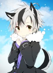Rule 34 | 1boy, animal ear fluff, animal ears, black hair, black jacket, blue sky, closed mouth, cloud, cloudy sky, day, dog boy, dog ears, dog tail, fang, fang out, fur-trimmed jacket, fur trim, grey hair, jacket, kamiyoshi rika, kemonomimi mode, long sleeves, looking at viewer, male focus, multicolored hair, nijisanji, open clothes, open jacket, outdoors, purple shirt, shirt, sky, sleeves past wrists, solo, streaked hair, suzuki masaru, tail, virtual youtuber