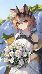 Rule 34 | 1girl, absurdres, animal ears, arknights, bare shoulders, black jacket, blurry, blurry background, bouquet, brown hair, cat ears, cat girl, collared dress, crown, dress, flower, hair between eyes, highres, holding, holding bouquet, holding flower, jacket, looking at viewer, off shoulder, open clothes, open jacket, short hair, sleeveless, sleeveless dress, smile, solo, vendela (arknights), white dress, white flower, xiandai quanru, yellow eyes
