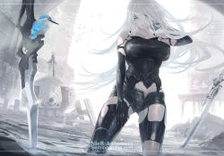 Rule 34 | 2girls, alternate breast size, android, backlighting, bird, black shorts, blue eyes, breasts, copyright name, day, english text, floating hair, hand in own hair, highres, kingfisher, large breasts, lens flare, long hair, machine (nier), maeshima shigeki, multiple girls, nier (series), nier:automata, planted sword, planted, post-apocalypse, robot, shorts, silver hair, solo focus, sword, taut clothes, type-4o sword, virtuous contract, virtuous treaty, wading, water, weapon, 2b (nier:automata), a2 (nier:automata)