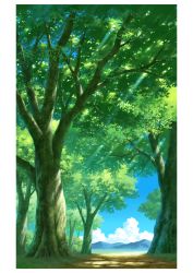 Rule 34 | blue sky, cloud, commentary request, dappled sunlight, forest, green theme, hariken, highres, meadow, nature, no humans, original, outdoors, scenery, sky, sunlight, tree