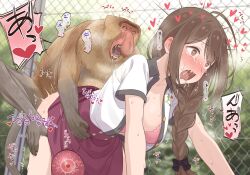 Rule 34 | 1girl, ahoge, air doggystyle, bestiality, black bow, blush, bow, bra, braid, braided ponytail, brown eyes, brown hair, cum, cum in pussy, hair bow, heart, heart-shaped pupils, highres, idolmaster, idolmaster shiny colors, impregnation, kuwayama chiyuki, long hair, monkey, neku oneneko, open clothes, open mouth, open shirt, outdoors, ovum, paid reward available, pink bra, red skirt, sex, shirt, skirt, solo, sperm cell, symbol-shaped pupils, tears, underwear, vaginal, white shirt