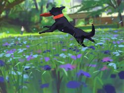 Rule 34 | animal focus, black dog, black fur, dog, flower, frisbee, grass, original, outdoors, purple flower, snatti, tree