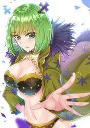 Rule 34 | 1girl, brandish mew, breasts, cleavage, fairy tail, green eyes, green hair, highres, large breasts, midriff, revealing clothes, short hair