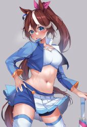 Rule 34 | 1girl, absurdres, animal ears, blue eyes, blush, breasts, brown hair, cleavage, closed mouth, collarbone, crop top, hand on own hip, highres, horse ears, horse girl, horse tail, kshimu, long hair, looking at viewer, medium breasts, multicolored hair, navel, ponytail, smile, solo, streaked hair, tail, thighhighs, tokai teio (umamusume), tongue, tongue out, umamusume, white hair