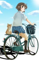 Rule 34 | 1girl, bag, basket, bicycle, black socks, blouse, blue sky, blush, brown eyes, brown hair, cat, checkered clothes, checkered skirt, cloud, day, female focus, from behind, full body, kneehighs, loafers, looking at viewer, looking back, michii yuuki, original, outdoors, plaid, plaid skirt, pleated skirt, riding, shirt, shoes, short hair, short sleeves, skirt, sky, smile, socks, solo, white background, white shirt