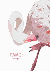 Rule 34 | absurdres, animal, animal focus, bird, commentary, english commentary, english text, flamingo, green eyes, green pupils, heart, highres, leg up, limited palette, looking at self, no sclera, original, photoshop (medium), pink theme, preening, signature, simple background, solo, standing, standing on one leg, webbed feet, white background, white theme, xi zhang