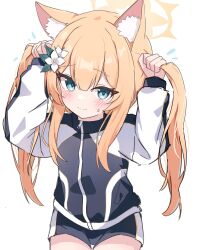 Rule 34 | 1girl, alternate hairstyle, animal ear fluff, animal ears, blue archive, blue eyes, closed mouth, commentary, double-parted bangs, embarrassed, flower, fox ears, fox girl, gym shorts, hair between eyes, hair flower, hair ornament, halo, highres, holding, holding own hair, jacket, long sleeves, looking at viewer, mari (blue archive), mari (track) (blue archive), multicolored clothes, multicolored jacket, nonddu, orange hair, puffy long sleeves, puffy sleeves, shorts, simple background, solo, symbol-only commentary, track jacket, twintails, white background, white flower, yellow halo