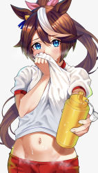 Rule 34 | 1girl, absurdres, animal ears, blue eyes, blush, bottle, bow, brown hair, clothes lift, commentary request, covering own mouth, cowboy shot, ear ribbon, gym shirt, gym uniform, hair between eyes, hair flaps, high ponytail, highres, holding, holding bottle, horse ears, horse girl, horse tail, lifting own clothes, long hair, looking at viewer, midriff, multicolored hair, navel, neokinayo, ponytail, red shorts, shirt, shirt lift, short sleeves, shorts, sidelocks, simple background, solo, standing, streaked hair, sweat, tail, tokai teio (umamusume), tracen training uniform, two-tone hair, umamusume, water bottle, white background, white hair, white shirt