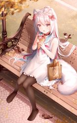 Rule 34 | animal ears, bag, baguette, bell, bench, bird, black legwear, blurry, bow, bread, casual, cat ears, cat girl, cat tail, collar, collarbone, crepe, depth of field, food, food on face, from above, grey eyes, hair bow, hair ribbon, highres, holding, holding food, looking up, neck bell, no shoes, original, paper bag, park bench, ribbon, rimuu, sitting, solo, tail, white hair