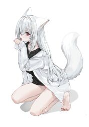 Rule 34 | :p, animal ears, bare legs, barefoot, black shirt, fox ears, fox girl, fox tail, full body, highres, long hair, long sleeves, looking at viewer, no pants, off shoulder, open clothes, open shirt, panties, paw pose, pink panties, red eyes, shirt, simple background, squatting, tail, tongue, tongue out, unbuttoned sleeves, underwear, waichi, white background, white hair, white shirt