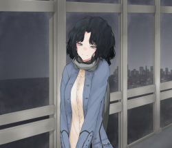 Rule 34 | 1girl, amagami, black hair, cityscape, closed mouth, commentary request, grey eyes, grey sky, hallway, head tilt, highres, indoors, jacket, light smile, long hair, looking at viewer, messy hair, night, open clothes, open jacket, curtained hair, scarf, sky, skyline, smile, solo, tanamachi kaoru, touru (thickbaumkuchen), v arms, window