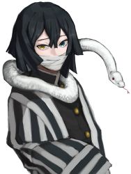 Rule 34 | 1boy, animal, bad id, bad twitter id, bandages, bird, black hair, blue eyes, commentary request, covered mouth, gakuran, green eyes, hair between eyes, heterochromia, highres, horns, iguro obanai, jacket, kimetsu no yaiba, kondate (inugrm), long hair, long sleeves, looking at viewer, male focus, mask, necktie, ringed eyes, school uniform, simple background, snake, solo, striped clothes, striped jacket, upper body, vertical stripes, white background, yellow eyes