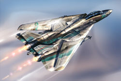 Rule 34 | afterburner, aim-9 sidewinder, air-to-air missile, aircraft, airplane, camouflage, commentary request, contrail, dated, f-14 tomcat, iranian flag, military, military vehicle, missile, original, pilot, realistic, signature, sky, vehicle focus, zephyr164