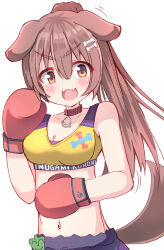 Rule 34 | 1girl, :d, absurdres, animal ears, bare shoulders, blue shorts, bone hair ornament, boxing gloves, breasts, brown hair, cartoon bone, character name, cleavage, clothes writing, commentary request, dog ears, dog girl, dog tail, hair between eyes, hair ornament, highres, hololive, inugami korone, medium breasts, navel, open mouth, ponytail, red eyes, shorts, simple background, smile, solo, stomach, tail, umberblack, v-shaped eyebrows, virtual youtuber, white background