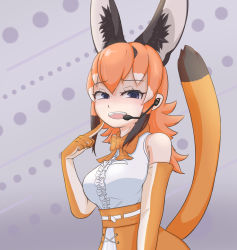 Rule 34 | 1girl, animal costume, animal ear fluff, animal ears, belt, blue eyes, bow, bowtie, caracal (kemono friends), caracal ears, elbow gloves, gloves, highres, kemono friends, kemono friends v project, long hair, looking at viewer, microphone, multicolored hair, nokemono-san (bocchi friend), open mouth, orange hair, shirt, simple background, skirt, sleeveless, sleeveless shirt, solo, tail, virtual youtuber, white shirt