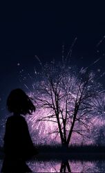 Rule 34 | 1girl, aerial fireworks, arms at sides, bare tree, clear sky, commentary, dress, english commentary, facing ahead, fireworks, forced perspective, from behind, grass, highres, long sleeves, night, original, outdoors, reflection, reflective water, silhouette, sky, skyrick9413, solo, tree