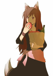 Rule 34 | 00s, animal ears, apple, bad id, bad pixiv id, bag, bottle, brown eyes, brown hair, eating, food, fruit, groceries, holo, long hair, paper bag, red eyes, solo, spice and wolf, tail, wolf ears, wolf tail, wristband, yow