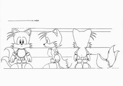 Rule 34 | character profile, character sheet, multiple views, official art, sega, sonic (series), tails (sonic), turnaround