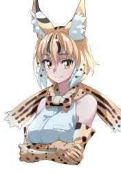 Rule 34 | 1girl, absurdres, animal ear fluff, animal ears, arms under breasts, bare shoulders, black hair, blonde hair, bow, bowtie, breasts, cropped torso, elbow gloves, extra serval (kemono friends), gloves, gradient hair, hair between eyes, highres, kemono friends, looking at viewer, medium breasts, multicolored hair, print bow, print bowtie, print gloves, serval print, shirt, simple background, sleeveless, sleeveless shirt, smile, solo, tanabe (fueisei), teeth, upper teeth only, white background, white hair, white shirt, yellow eyes