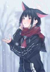 1girl absurdres animal_ears black_hair black_jacket blue_archive blunt_bangs blush cat_ears cat_girl colored_inner_animal_ears colored_inner_hair commentary_request extra_ears hair_ornament halo hand_up highres hood hood_down hooded_jacket jacket kazusa_(blue_archive) long_sleeves looking_up multicolored_hair outdoors pink_hair pink_halo puffy_long_sleeves puffy_sleeves rama_(yu-light8) red_eyes red_scarf scarf short_hair snowing solo upper_body