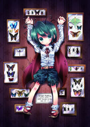 Rule 34 | 10s, 1girl, 2010, :&lt;, antennae, bad id, bad pixiv id, beetle, belt, buckle, bug, butterfly, cape, collared shirt, dated, dragonfly, female focus, green eyes, green hair, insect, kiyose akame, long sleeves, looking at viewer, mary janes, matching hair/eyes, neck ribbon, pin, pinned, ribbon, scorpion, shirt, shoes, short hair, shorts, socks, solo, touhou, white shirt, white socks, wing collar, wriggle nightbug