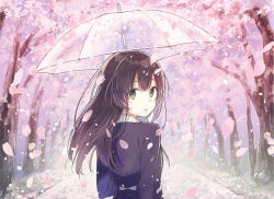 Rule 34 | 1girl, arm at side, back, blue skirt, booota, brown hair, cherry blossoms, collared shirt, from behind, green eyes, hair between eyes, holding, holding umbrella, jacket, light smile, long hair, looking at viewer, looking back, original, outdoors, path, petals, road, school uniform, shirt, skirt, solo, standing, transparent, transparent umbrella, umbrella, white shirt, wind