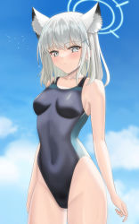 Rule 34 | animal ear fluff, animal ears, black one-piece swimsuit, blue archive, blue eyes, blue sky, breasts, cloud, competition swimsuit, covered navel, cowboy shot, cross hair ornament, extra ears, grey hair, hair ornament, halo, highleg, highleg swimsuit, highres, higofushi, medium breasts, medium hair, mismatched pupils, multicolored clothes, multicolored swimsuit, one-piece swimsuit, shiroko (blue archive), shiroko (swimsuit) (blue archive), sky, swimsuit