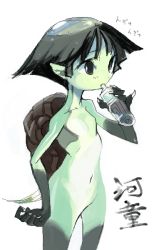 Rule 34 | 1girl, amiami, black hair, colored skin, female focus, green skin, kappa, monster girl, navel, nude, pointy ears, simple background, solo, white background
