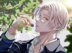 Rule 34 | 1boy, blue jacket, collared shirt, food, fruit, glasses, grapes, haru miteinatsu, highres, holding, holding food, jacket, long sleeves, looking at viewer, male focus, open mouth, shirt, short hair, solo, tears of themis, tree, upper body, vyn richter (tears of themis), white hair, white shirt, yellow eyes