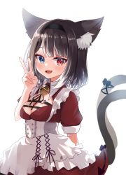Rule 34 | 1girl, :d, animal ears, black hair, blue eyes, breasts, cat ears, cat girl, cat tail, dress, fang, gradient hair, heterochromia, highres, indie virtual youtuber, maid, medium breasts, multicolored hair, multiple tails, nukota natsuna, open mouth, puffy short sleeves, puffy sleeves, red dress, red eyes, sese nagi, short hair, short sleeves, skin fang, smile, tail, transparent background, two tails, v, virtual youtuber, white hair