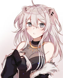 Rule 34 | 1girl, absurdres, ahoge, animal ears, black jacket, black nails, blush, breasts, cleavage, fingernails, fur-trimmed jacket, fur trim, gradient background, grey eyes, grey hair, hand on own chest, highres, hololive, jacket, large breasts, lion ears, lips, long hair, looking at viewer, messy hair, nail polish, parted lips, see-through, see-through cleavage, sharp fingernails, shishiro botan, shishiro botan (1st costume), sidelocks, sleeves past wrists, solo, tana (tanabio), torc, two side up, virtual youtuber, white background
