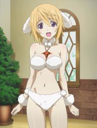Rule 34 | 10s, 1girl, blonde hair, charlotte dunois, costume, highres, infinite stratos, jewelry, necklace, poodle, purple eyes, screencap, wrist cuffs