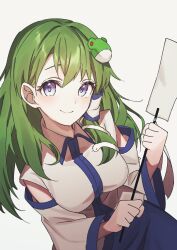 Rule 34 | 1girl, bare shoulders, blue eyes, blue skirt, blue sky, breasts, closed mouth, collared shirt, commentary request, detached sleeves, frog hair ornament, gohei, green eyes, green hair, hair ornament, happy, highres, holding, holding gohei, kochiya sanae, long hair, long sleeves, looking at viewer, medium breasts, one-hour drawing challenge, shirt, simple background, single sidelock, skirt, sky, sleeveless, sleeveless shirt, smile, snake hair ornament, solo, touhou, upper body, wanko sora, white background, white shirt, white sleeves, wide sleeves