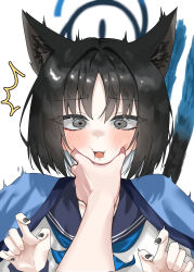 Rule 34 | 1girl, absurdres, animal ear fluff, animal ears, black fur, black hair, black nails, blue archive, blue fur, blue halo, blue sailor collar, cat ears, cat girl, cat tail, cheek pinching, commentary request, dragonchicken02, grey eyes, halo, hand on another&#039;s cheek, hand on another&#039;s face, highres, kikyou (blue archive), looking at viewer, medium hair, meme, multicolored fur, pinching, pov cheek grabbing (meme), sailor collar, shirt, simple background, solo, surprised, tail, white background, white shirt